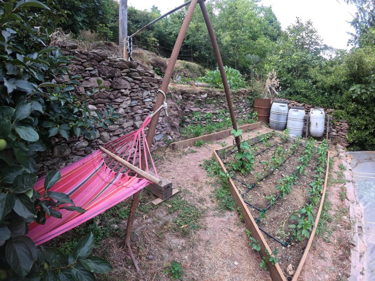 La Valle Degli Orti Λα Σπέτσια Εξωτερικό φωτογραφία